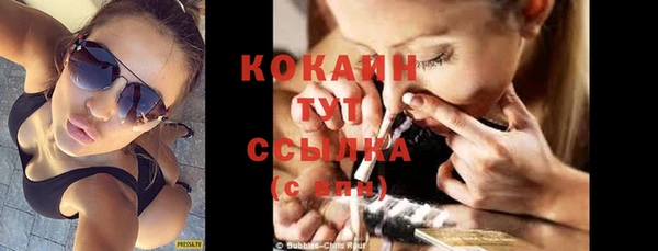 стаф Дмитров