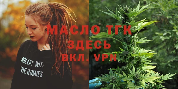 стаф Дмитров