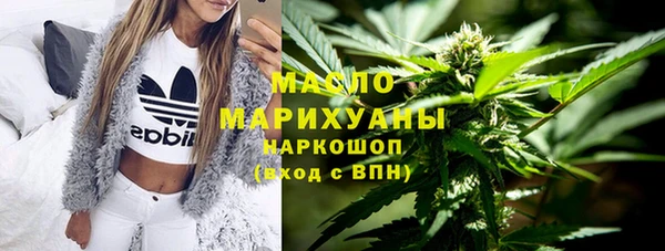 стаф Дмитров