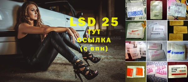 стаф Дмитров