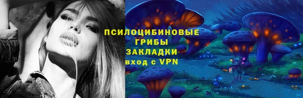 стаф Дмитров