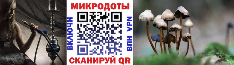 Галлюциногенные грибы GOLDEN TEACHER  KRAKEN онион  Кострома 