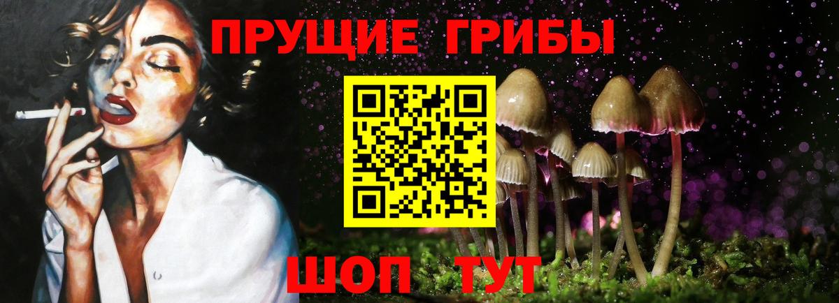 Кострома  даркнет сайт  Вход с VPN  Галлюциногенные грибы Cubensis  Галлюциногенные грибы ЛСД 