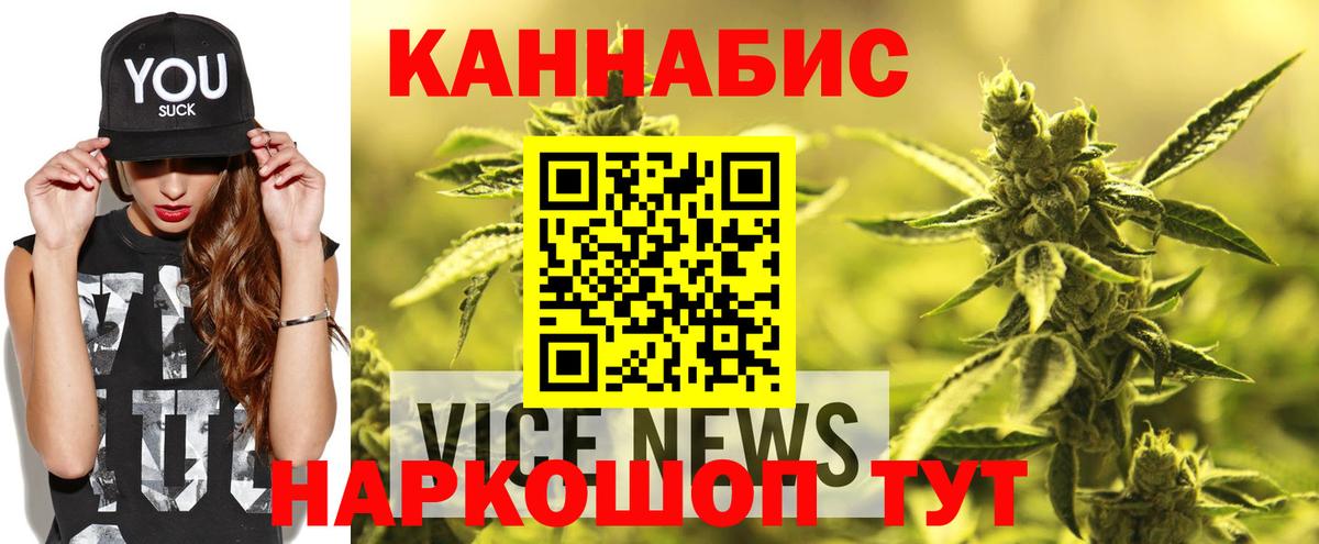 Каннабис конопля Кострома